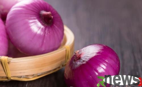 Practical tips for preserving food get these guarantees to benefit you endlessly