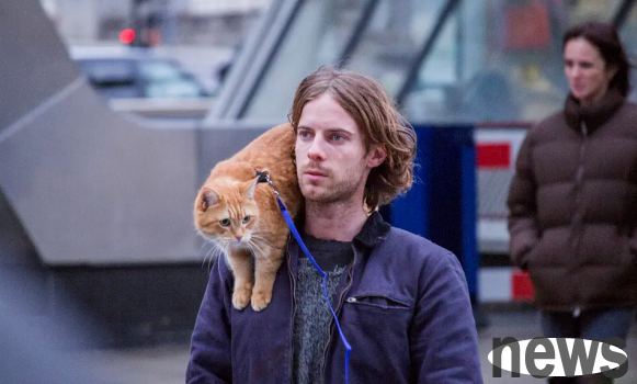 After raising a cat, you can t imagine the changes in people