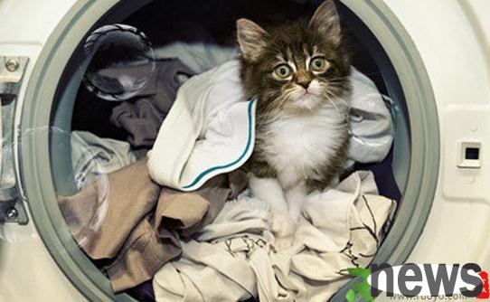 The house is messy? Teach you how to store your clothes and shoes!