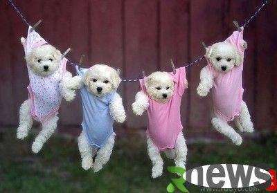 What should I do if I dry my clothes on rainy days without drying them and it smells bad?