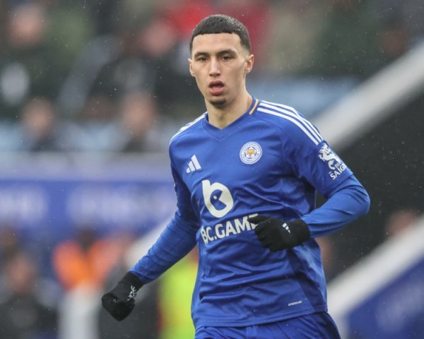 Reporter: Crystal Palace and Blue Fox have an oral agreement on Elhanusda, with a total cost of over 30 million pounds