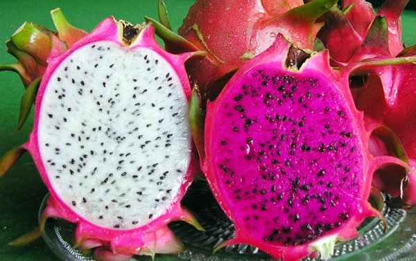 It’s a pity that the Fire Dragon peel will be wiped out! 4 tips to teach you how to eat beet red in the fire dragon fruit