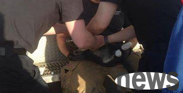 The fire swallows the house. The cat left by the owner hides in the oven and survives
