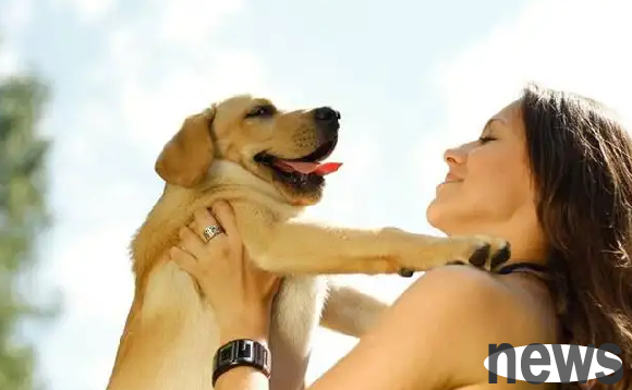 Why do dogs resent people blowing on them? You ll understand after reading it
