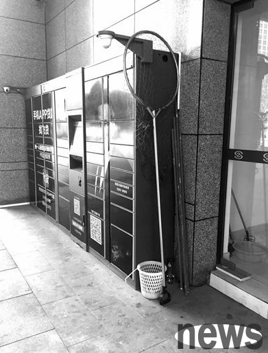 Can Xiaoshan not apply for a dog license | It is prohibited to keep cats, dogs and other pets. A notice from the property management of Meihualou Community in Xiaoshan, Hangzhou triggered controversy