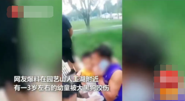 A large dog broke free from the rope and bit a 3-year-old child in Mianyang, Sichuan. The parents used steel bars to pry open the dog s mouth to escape.