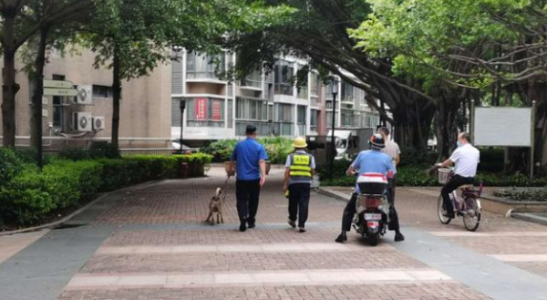 The arrest of stray dogs in the community caused concern. Shenzhen urban management: 